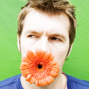 fuckyeahrhodgilbert avatar