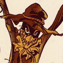 fuckyeahscarecrow avatar