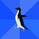 fuckyeahsociallyawkwardpenguin avatar