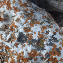 fuckyeahstimboards avatar