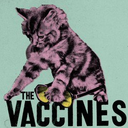 fuckyeahthevaccines avatar