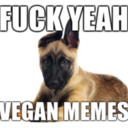 fuckyeahveganmemes-blog avatar