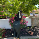 fuckyoperfection avatar