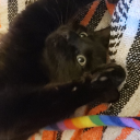 fuckyourdumbassusername avatar