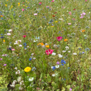 fueledbyhottea avatar