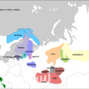 fuforeverandalways avatar