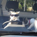 fugapara-oparaiso avatar