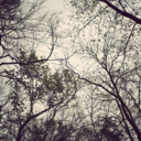 fuglynoodles-blog avatar