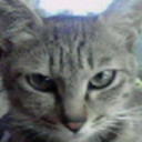 fuguba-blog-blog avatar