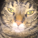 fukin-keith-kogane avatar