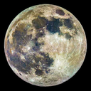 fukuinko-blog avatar