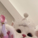 fulfilledream avatar