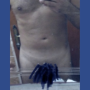 fullaktif3535 avatar