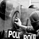 fulliasunny-blog-blog avatar