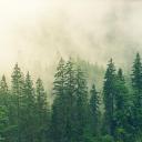 fullmetalbich avatar