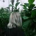 fullmoonfinley avatar