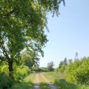 fullmoonheart avatar