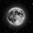 fullmoonstruck avatar