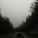 fullnightpeanut avatar