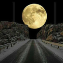 fullpainterduckshepherd avatar