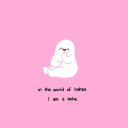 fullsharkreview avatar