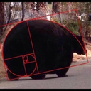 fulltimeclown avatar