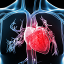 fullweaselpieclod avatar