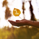 fullydecaffeinatedthing avatar