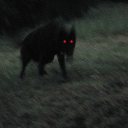 fullysowerewolf avatar