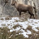 fullyunbotherredd avatar