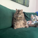 fun-sizedmini avatar