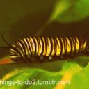 fun-things-to-do2-blog avatar