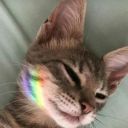 functionalsstuff avatar