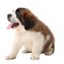 funeralvenues avatar