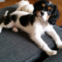 funfeminist00 avatar