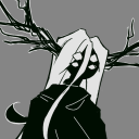 fungalcryptid avatar