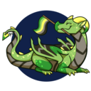 fungeonsandragons avatar