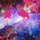 fungi12325 avatar