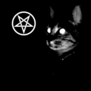 fungus-glitch avatar