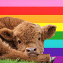 funkbianmoved-blog avatar