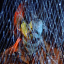 funky-monk-17 avatar