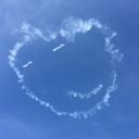 funkyelephant3236-blog avatar