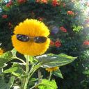 funkyescalator avatar