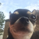 funkyfreshfries avatar