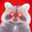 funkylilraccoonman avatar