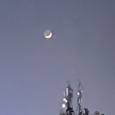 funkymonkeyyyy avatar