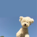 funny-coffee-in-the-mornin avatar