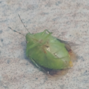 funny-posts-for-me avatar