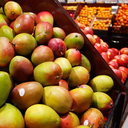 funnypicslibrary avatar