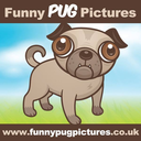 funnypugpictures avatar